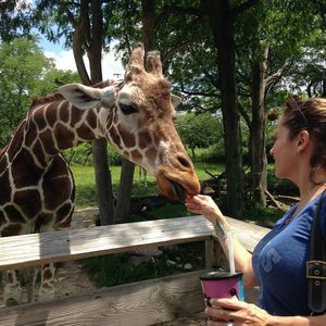 Meet your Posher, Faye